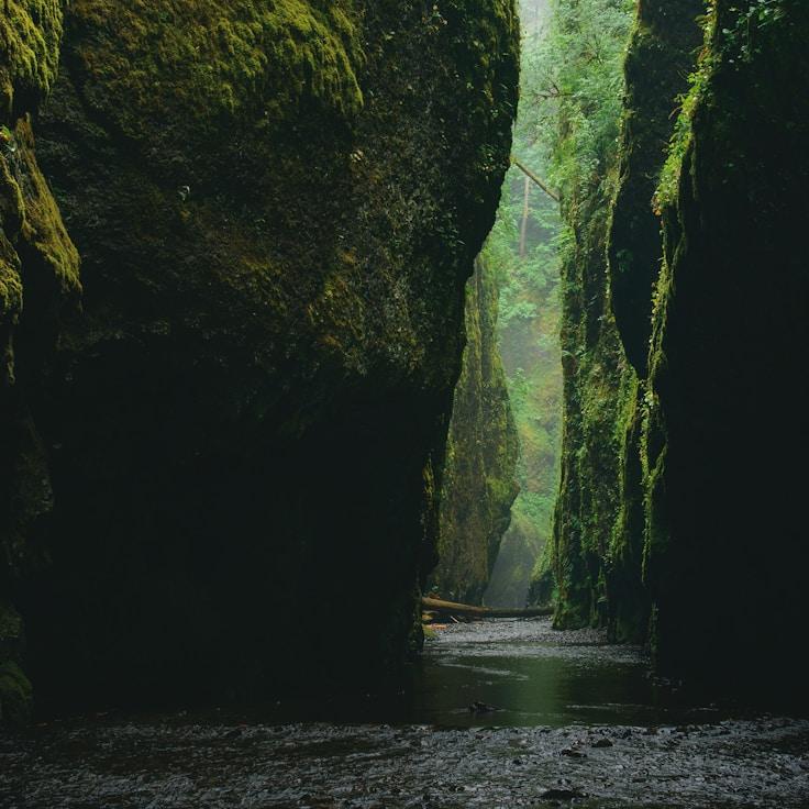 Scenic nature travel banner